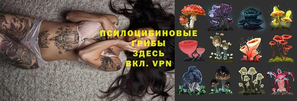 молекула духа Алзамай