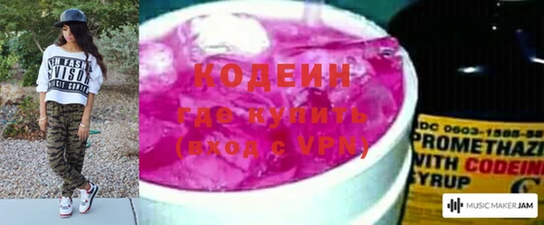 молекула духа Алзамай