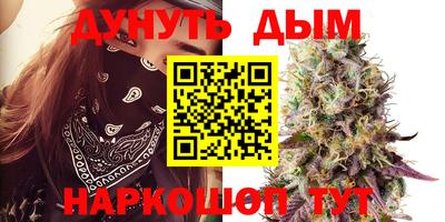 кокс Донской